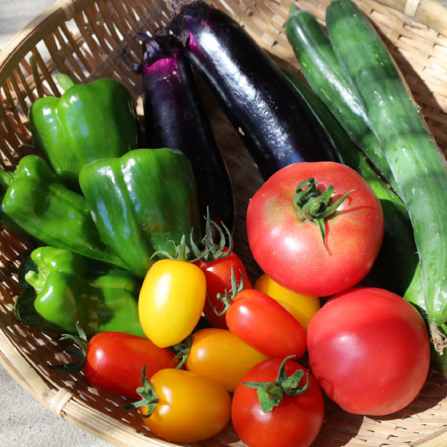 新鮮な野菜のイメージ
