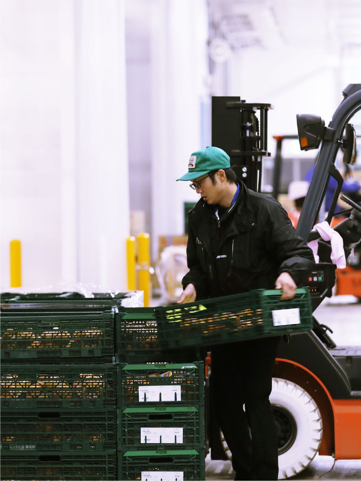 青果物の販売物流 イメージ