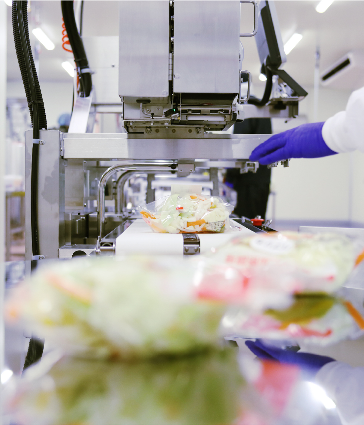 加工・パッケージ イメージ